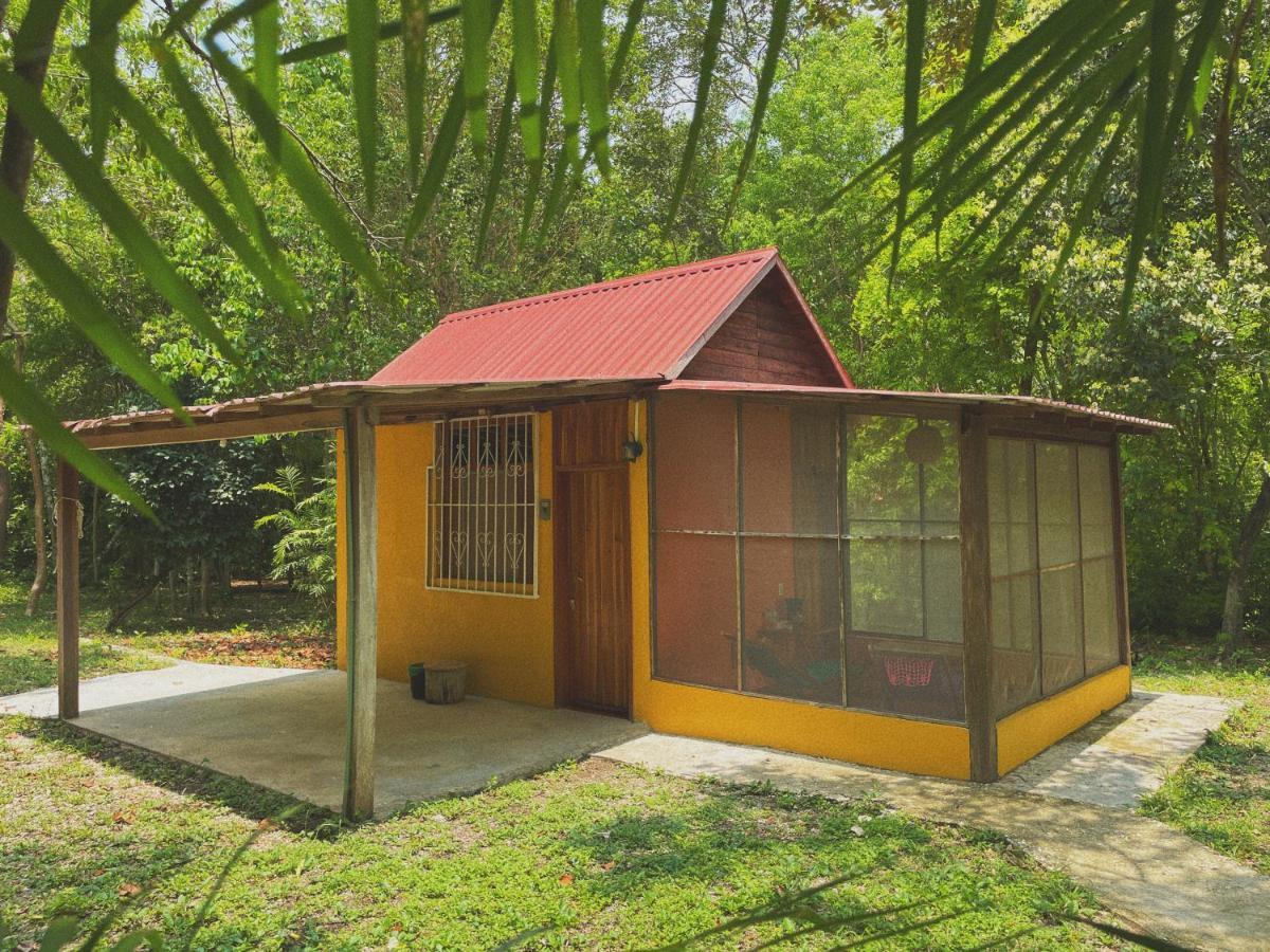 Ecohabitat Bed & Breakfast Xpujil Dış mekan fotoğraf